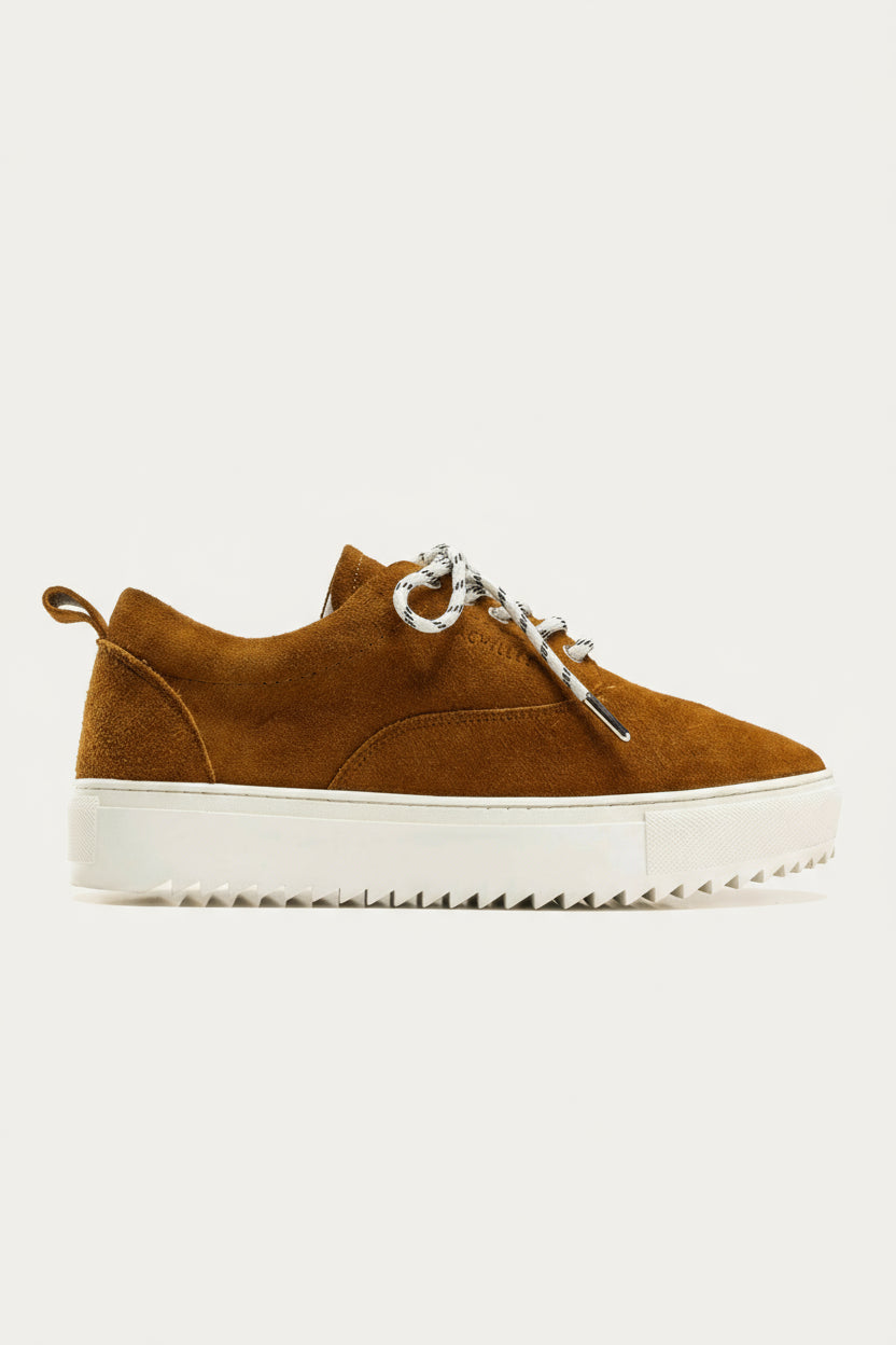 Suede Lace-Up Sneaker — Havana