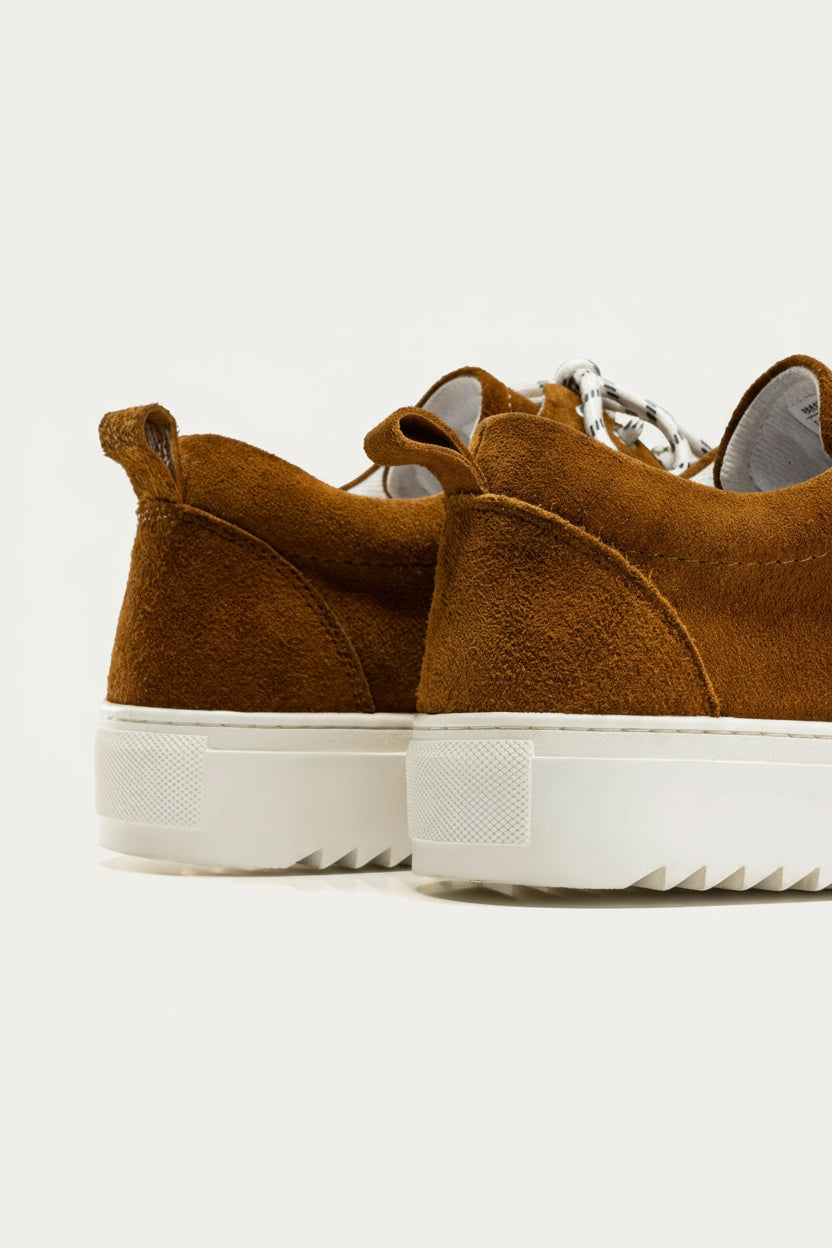 Suede Lace-Up Sneaker — Havana